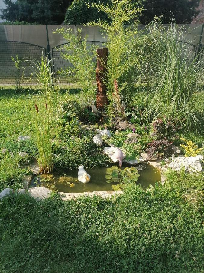 Apartman Garden House Voždivac Exterior foto